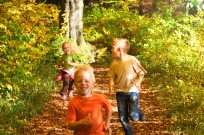 enfants-foret-convertimage.jpg